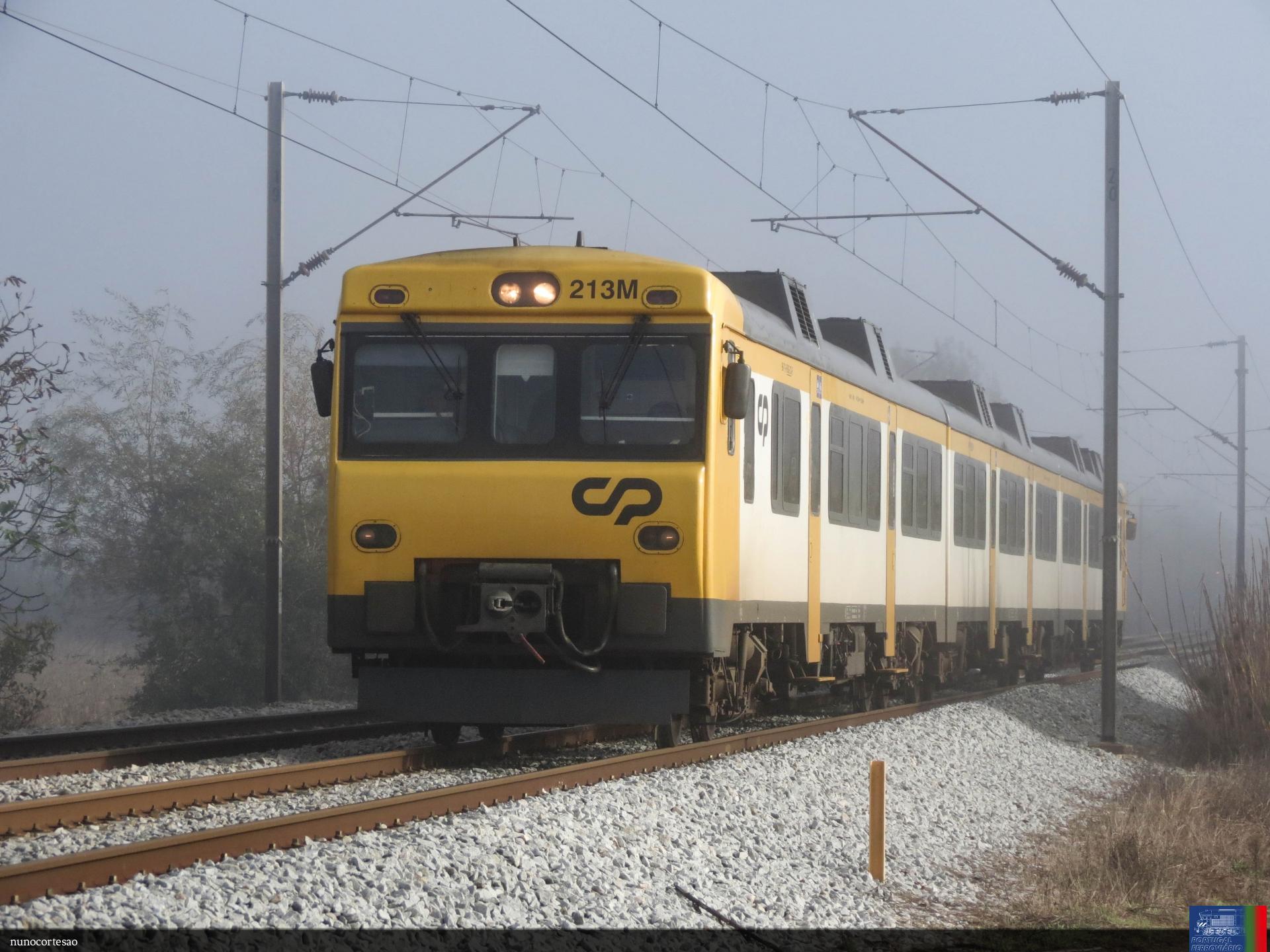 CP 592.207 | IR 800 | Reveles