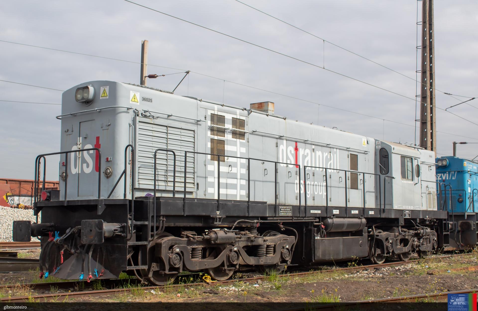 dsTrainRail 313.007