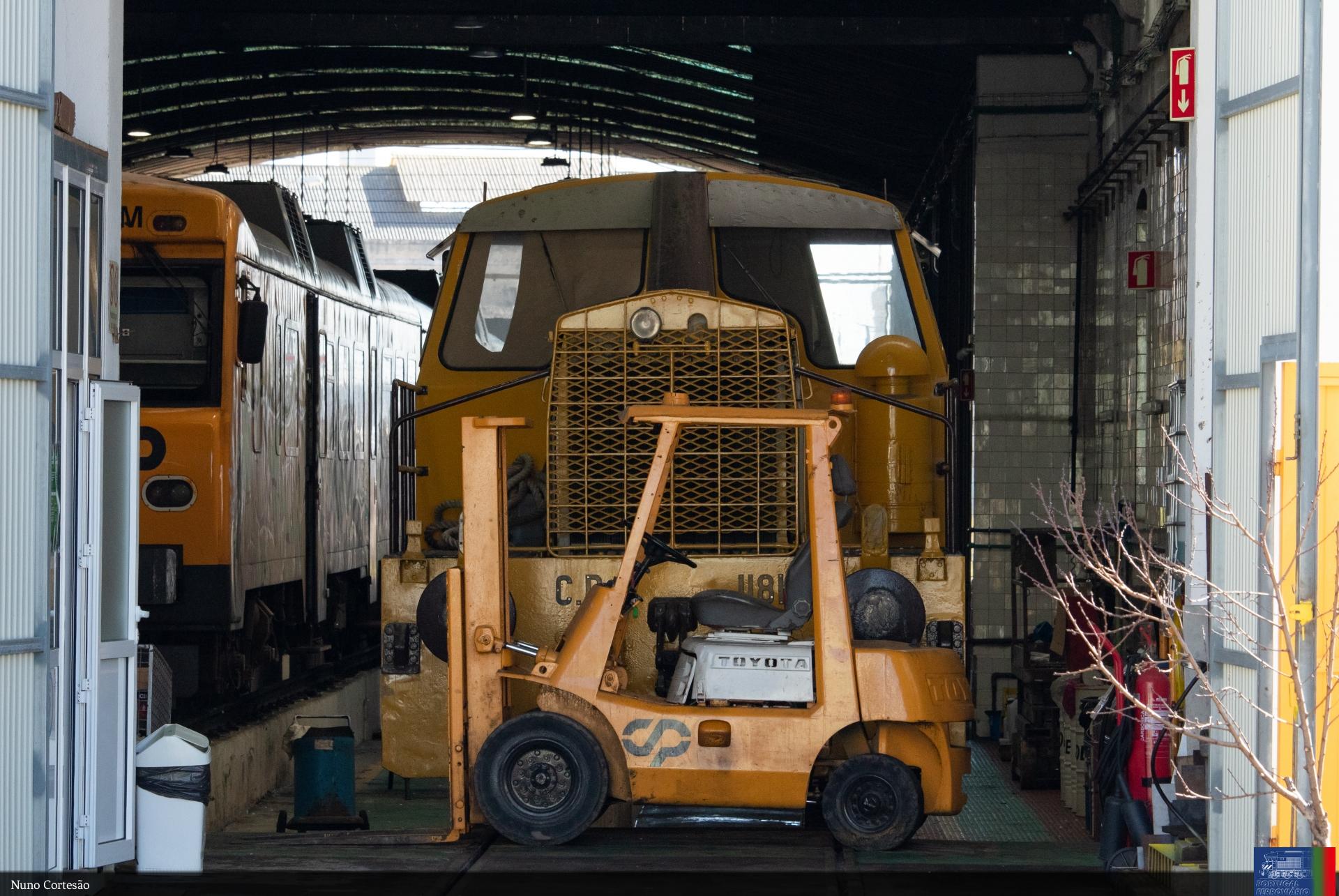 1181 na Figueira da Foz